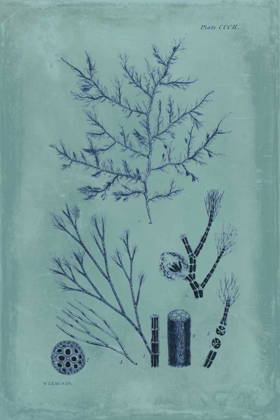 Picture of INDIGO AND AZURE SEAWEED VIII