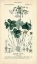 Picture of BOTANIQUE STUDY IN LAVENDER I