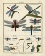 Picture of HISTOIRE NATURELLE INSECTS I