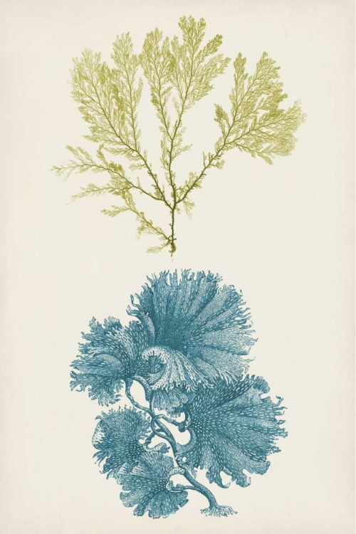 Picture of AQUA AND CITRON CORAL I