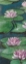 Picture of TRANQUIL LILIES I
