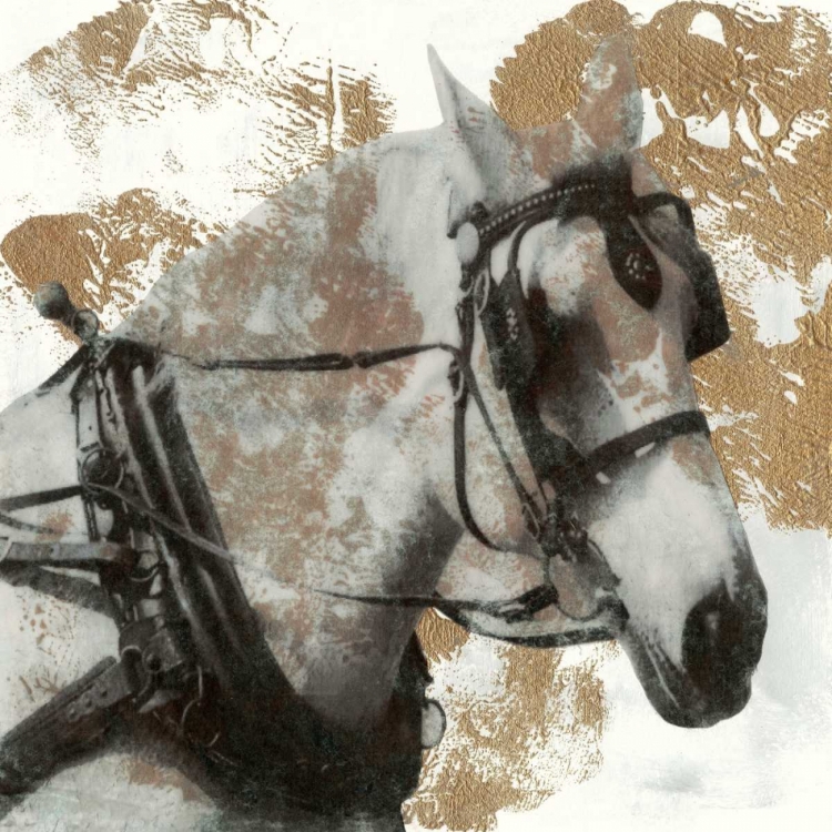 Picture of DRIVING HORSES II