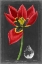 Picture of MIDNIGHT TULIP II