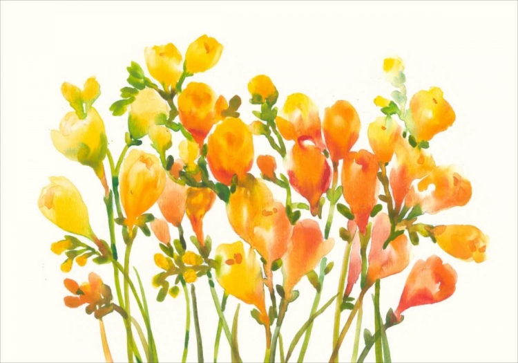 Picture of FREESIA I