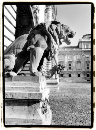 Picture of STANDING GUARD, ROYAL PALACE