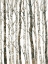 Picture of BARE II