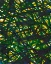 Picture of GREEN THICKET II
