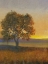 Picture of FIRELIGHT II