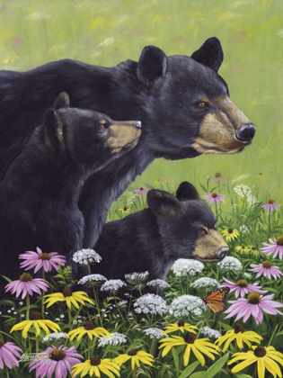 Picture of BLACK BEARS