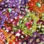 Picture of FLORAL BARRAGE I