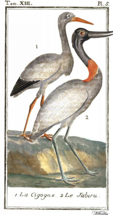Picture of BUFFON CRANES AND HERONS I