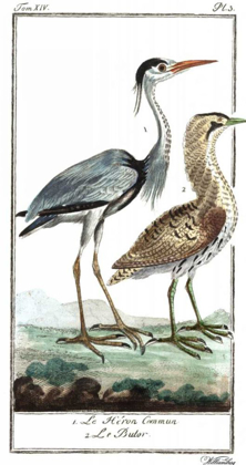 Picture of BUFFON CRANES AND HERONS III