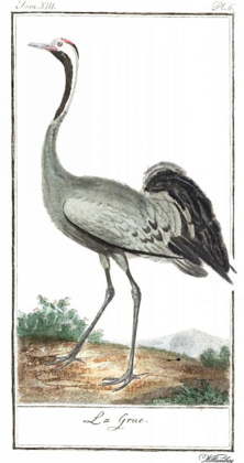 Picture of BUFFON CRANES AND HERONS IV