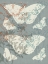 Picture of FLOWERS AND BUTTERFLIES I