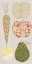 Picture of CONTOUR FRUITS AND VEGGIES VII