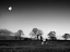 Picture of EVENING LIGHT IV