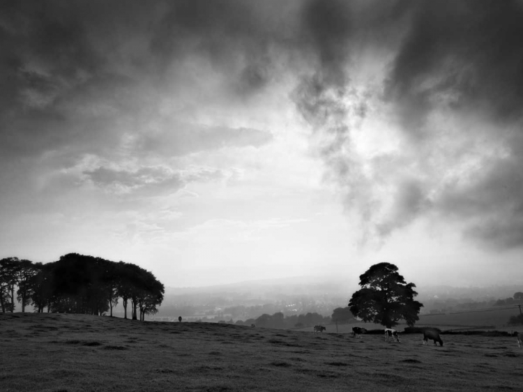 Picture of DALES LANDSCAPE