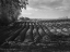 Picture of FURROWS