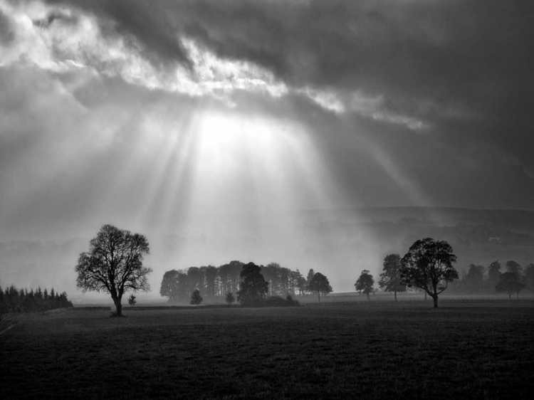 Picture of CLOUD BURST