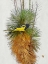 Picture of AVIAN TROPICS II