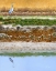 Picture of BLACKWATER TAPESTRY I
