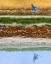 Picture of BLACKWATER TAPESTRY II