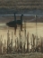 Picture of FIRST LIGHT I
