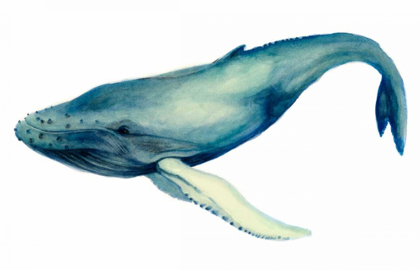 Picture of THE WHALES SONG I