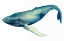 Picture of THE WHALES SONG I