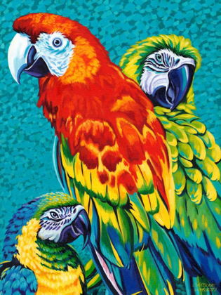 Picture of BIRDS IN PARADISE III
