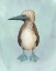 Picture of WATERCOLOR BEACH BIRD I
