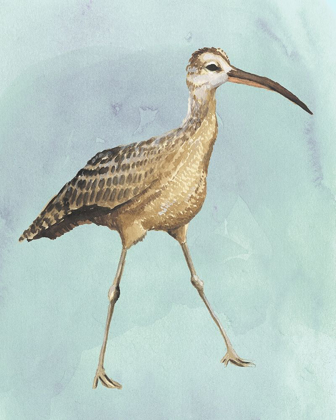 Picture of WATERCOLOR BEACH BIRD II