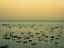 Picture of SUNSET HARBOUR II