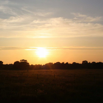 Picture of SUNSET FIELD I
