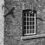 Picture of RUSTIC DETAILS II