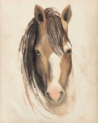Picture of WATERCOLOR ANIMAL STUDY V