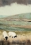 Picture of OPEN MEADOW II