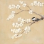 Picture of SWEET BIRDS I