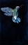 Picture of MOUNTAIN GEM II