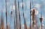 Picture of LIGHT DANCE ON CATTAILS I