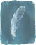Picture of FEATHERS ON DUSTY TEAL III