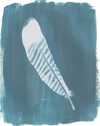 Picture of FEATHERS ON DUSTY TEAL VI