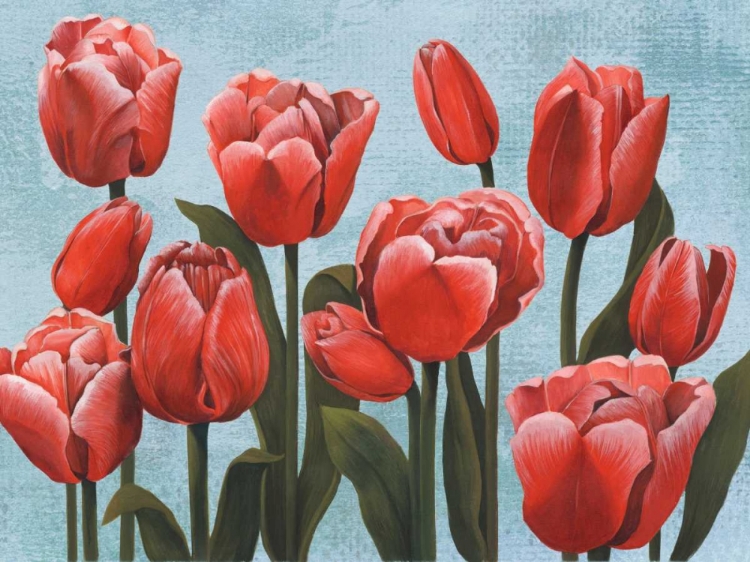 Picture of RUBY TULIPS II