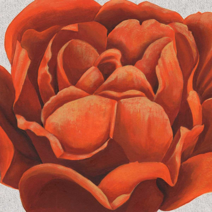Picture of FIERY FLORAL II