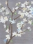 Picture of CHERRY BLOSSOM HAZE I