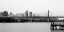 Picture of NY SCENES VI