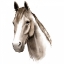 Picture of WESTERN ANIMAL STUDY II