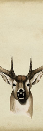 Picture of TRIPTYCH WHITETAIL II