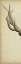 Picture of TRIPTYCH ELK I