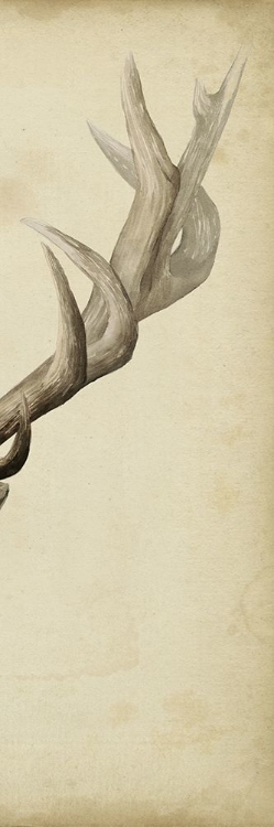 Picture of TRIPTYCH ELK III